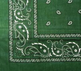 DREAM BANDANA – FOLDED REGULAR Hunter Green